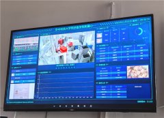 武汉硚口：“数字食堂”守护校园“小餐桌​”