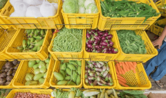  <strong>学校食物平安溯源</strong>