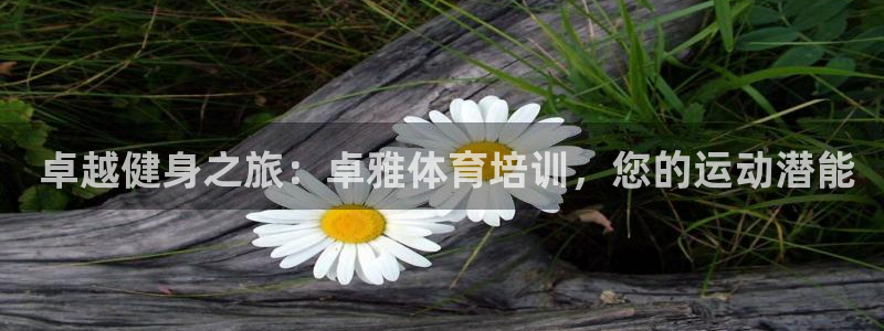 欧陆娱乐能不能玩手游
