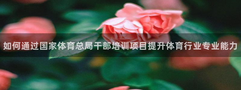 欧陆娱乐注册代理多少钱一年：如何通过国家体育总局干部