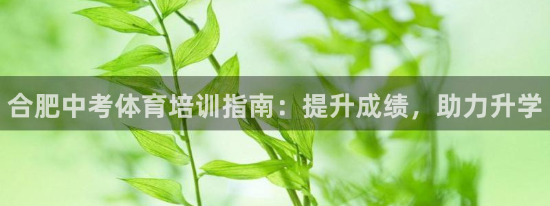 欧陆娱乐官网首页网址：合肥中考体育培训指南：提升成绩