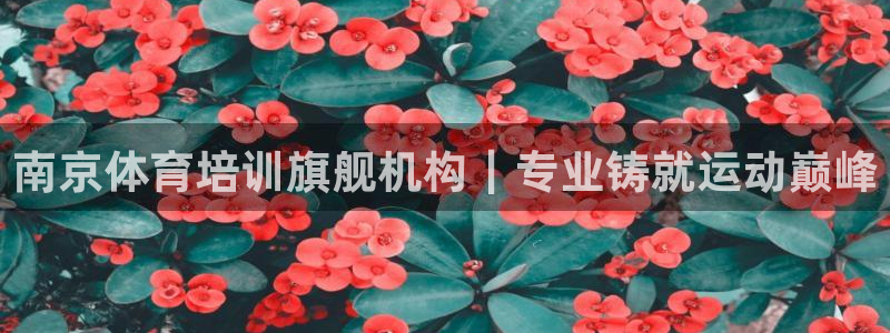 欧陆娱乐怎么注册帐号：南京体育培训旗舰机构｜专业铸就