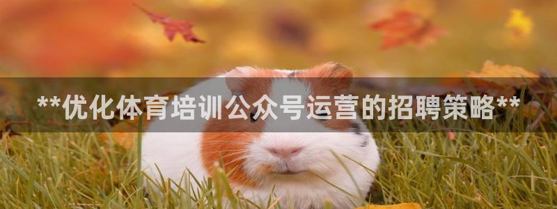 欧陆娱乐可以退钱吗安全吗：**优化体育培训公众号运营
