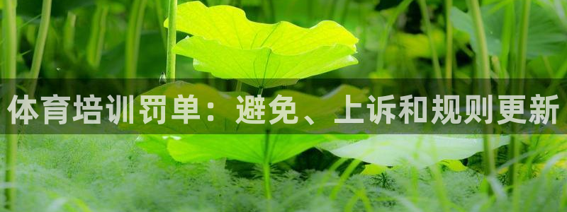 欧陆娱乐推广奖金多少