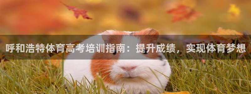 欧陆娱乐代理多少个点位