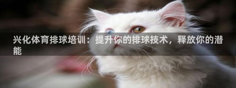欧陆娱乐百科百度
