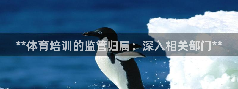 欧陆娱乐平台咋样啊安全吗