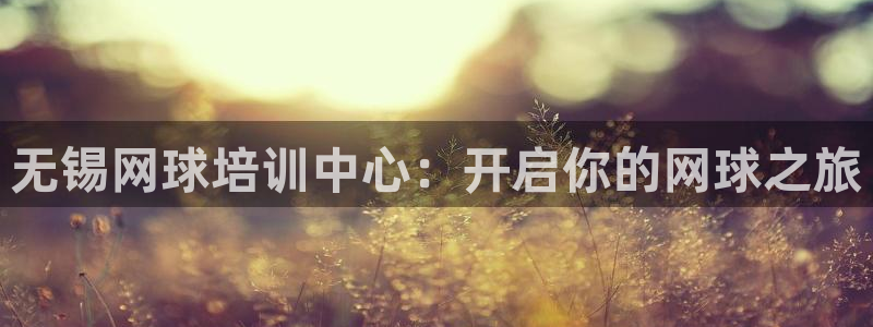 欧陆娱乐官方网站下载：无锡网球培训中心：开启你的网球