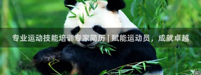 欧陆娱乐平台咋样赚钱快：专业运动技能培训专家简历 |