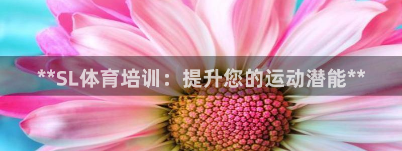 欧陆娱乐公司产品介绍大全：**SL体育培训：提升您的