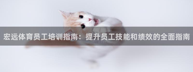 欧陆娱乐app下载安装：宏远体育员工培训指南：提升员