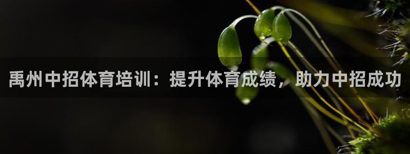 欧陆娱乐有限公司：禹州中招体育培训：提升体育成绩，助
