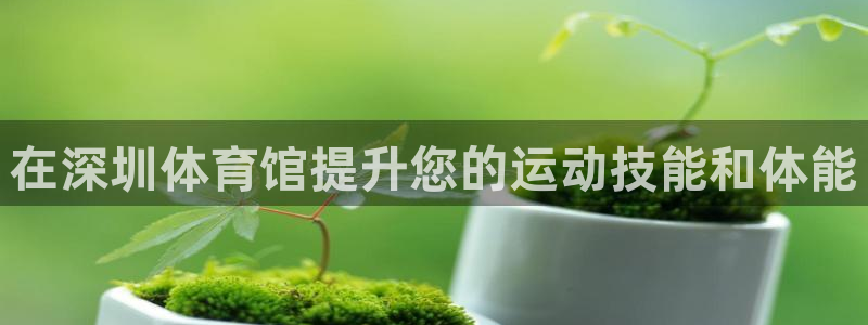 欧陆娱乐登录平台：在深圳体育馆提升您的运动技能和体能