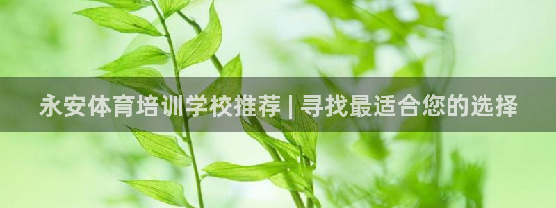 欧陆娱乐里面怎么看打排五