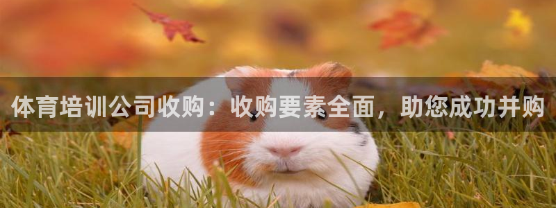 欧陆娱乐：体育培训公司收购：收购要素全面，助您成功并