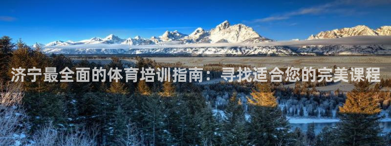 欧陆娱乐平台官网下载：济宁最全面的体育培训指南：寻找适合您的