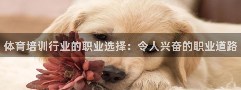 欧陆注册登录入口：体育培训行业的职业选择：令人兴奋的