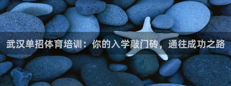 欧陆娱乐代理多少个点位合适：武汉单招体育培训：你的入学敲门砖