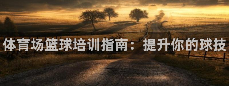 欧陆娱乐提现两百万：体育场篮球培训指南：提升你的球技
