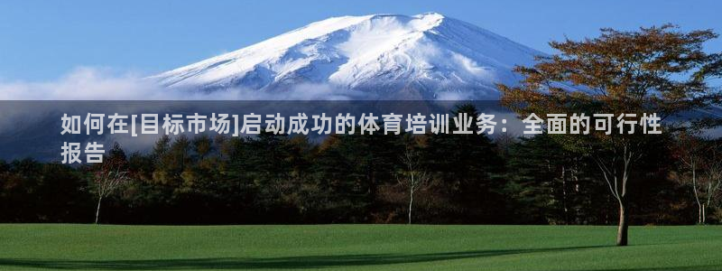 欧陆娱乐的故事：如何在[目标市场]启动成功的体育培训