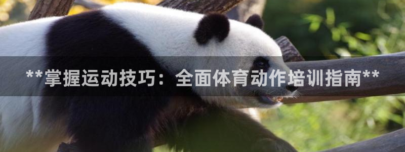 欧陆娱乐平台登录不上去怎么办：**掌握运动技巧：全面体育动作