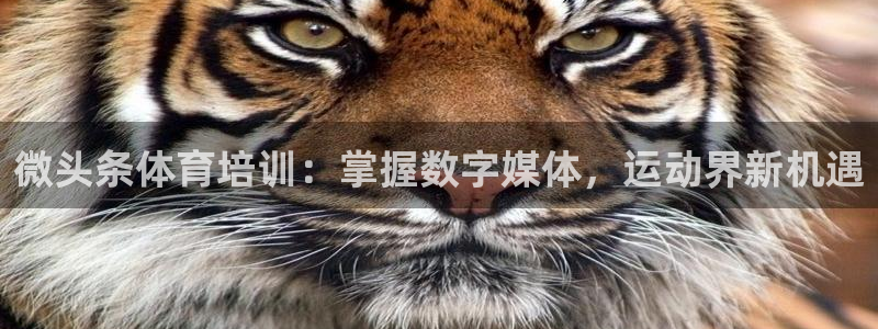 欧陆娱乐登录官网：微头条体育培训：掌握数字媒体，运动界新机遇