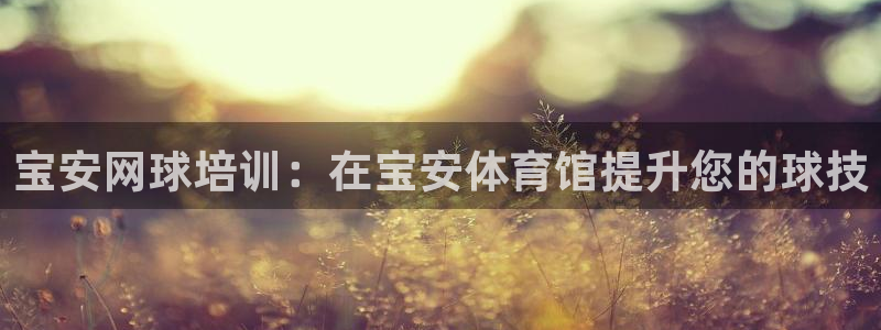 欧陆娱乐是资金盘吗：宝安网球培训：在宝安体育馆提升您