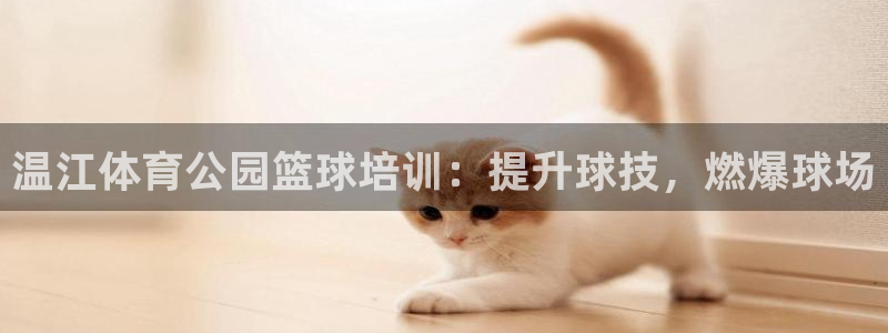 欧陆娱乐安全吗：温江体育公园篮球培训：提升球技，燃爆