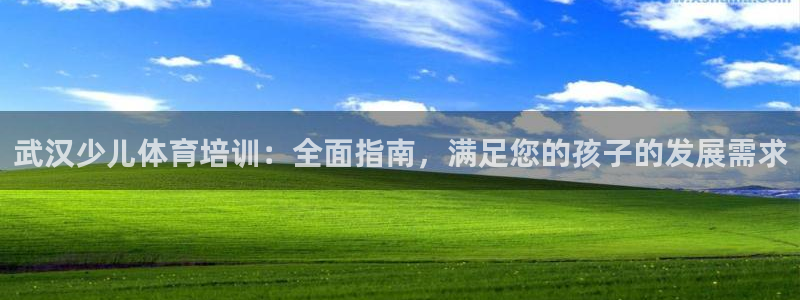 欧陆娱乐官网首页下载：武汉少儿体育培训：全面指南，满
