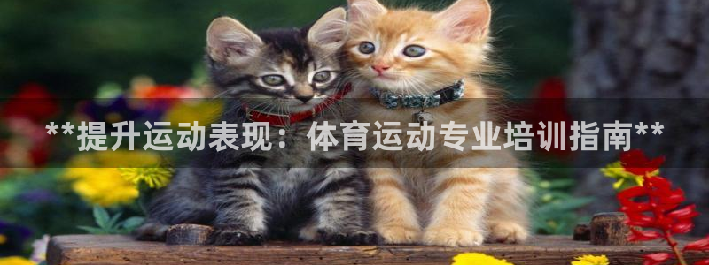欧陆娱乐图片：**提升运动表现：体育运动专业培训指南