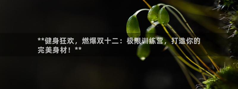 欧陆娱乐能提现嘛?：**健身狂欢，燃爆双十二：极限训
