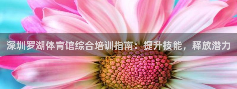 欧陆娱乐能提现嘛?：深圳罗湖体育馆综合培训指南：提升
