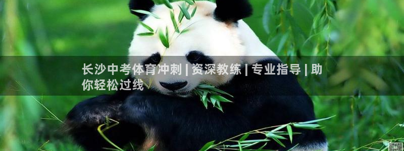 欧陆娱乐微信众：长沙中考体育冲刺 | 资深教练 | 