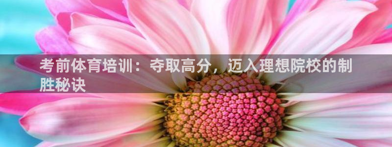 欧陆公司在哪里：考前体育培训：夺取高分，迈入理想院校