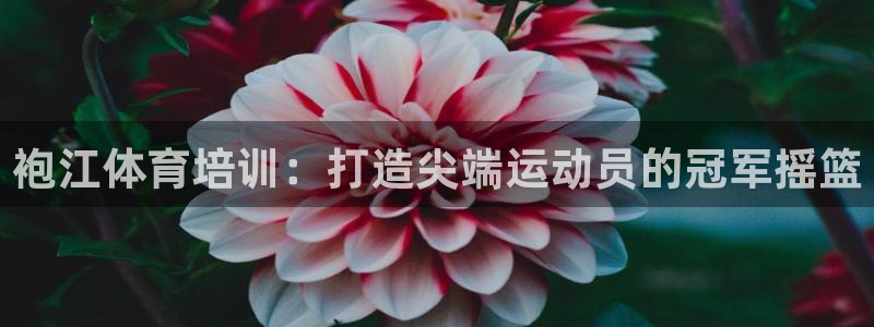 欧陆娱乐客服：袍江体育培训：打造尖端运动员的冠军摇篮