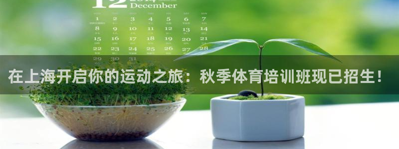 欧陆娱乐总代理：在上海开启你的运动之旅：秋季体育培训