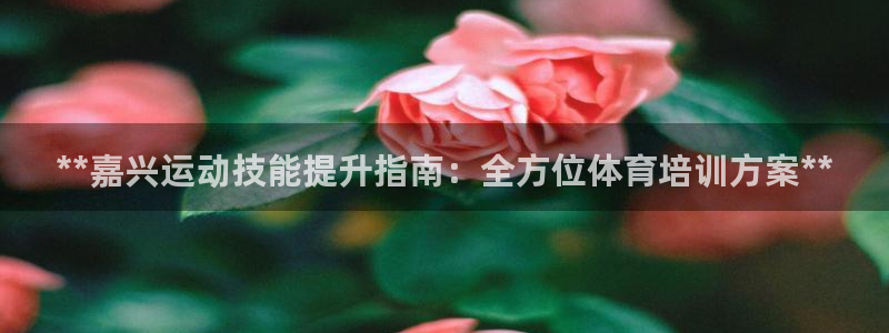 欧陆娱乐打什么方案赚钱：**嘉兴运动技能提升指南：全