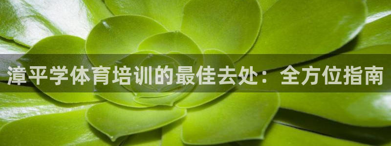 欧陆娱乐的故事：漳平学体育培训的最佳去处：全方位指南