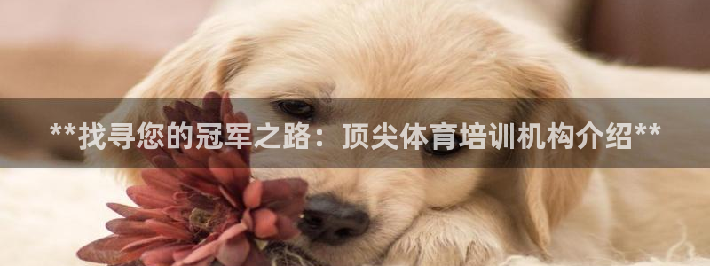 欧陆娱乐稳中：**找寻您的冠军之路：顶尖体育培训机构介绍**