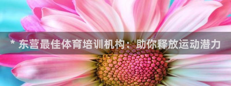 欧陆娱乐代理多少个点位可以赚钱：* 东营最佳体育培训