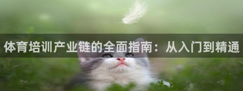 欧陆娱乐app攻略下载：体育培训产业链的全面指南：从