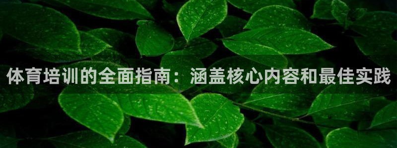 欧陆娱乐注册链接怎么弄出来：体育培训的全面指南：涵盖核心内容