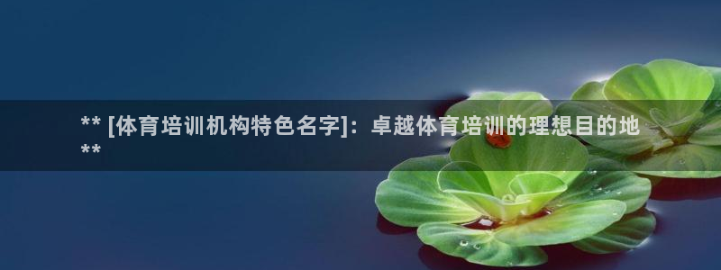 欧陆娱乐天富主管：** [体育培训机构特色名字]：卓