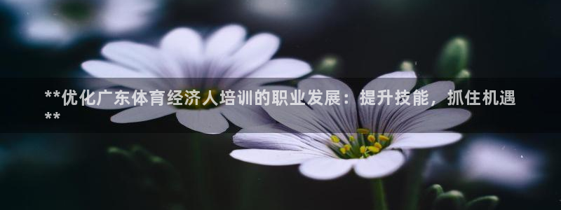 欧陆娱乐是资金盘吗：**优化广东体育经济人培训的职业