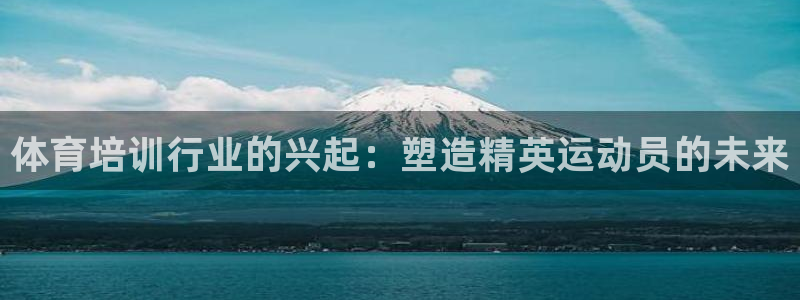 欧陆娱乐会员：体育培训行业的兴起：塑造精英运动员的未