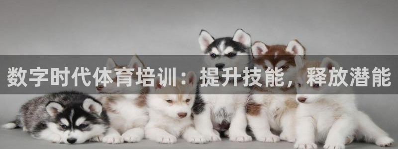 欧陆娱乐app下载安装：数字时代体育培训：提升技能，