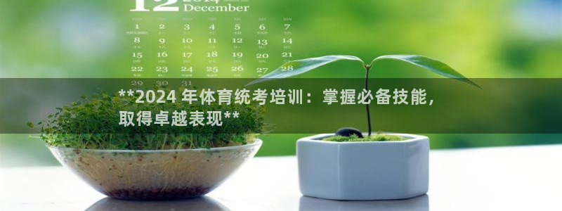欧陆娱乐共创美好：**2024 年体育统考培训：掌握