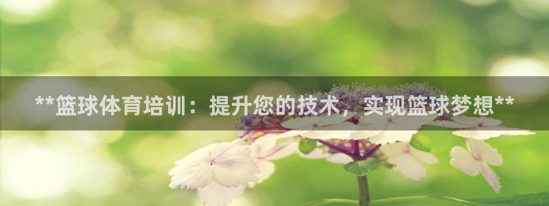 欧陆娱乐欢迎访问：**篮球体育培训：提升您的技术，实
