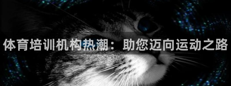 欧陆娱乐稳中：体育培训机构热潮：助您迈向运动之路