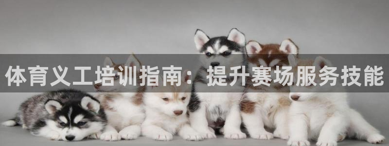 欧陆娱乐官网入口：体育义工培训指南：提升赛场服务技能